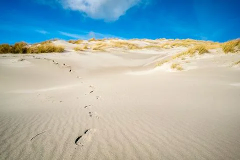 Bootprints coming down from the sand dune with yellow grass on top under bright Stock Photos