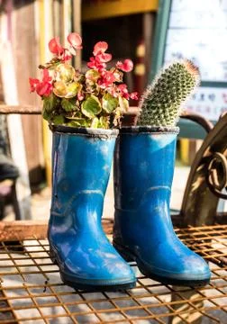 Boots with cactus Stock Photos