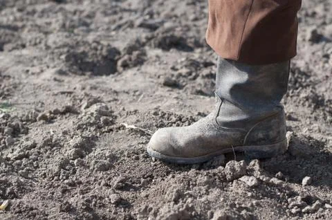 Boots on dry earth. Stock Photos