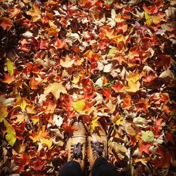 Boots &amp; Foliage Foto stock