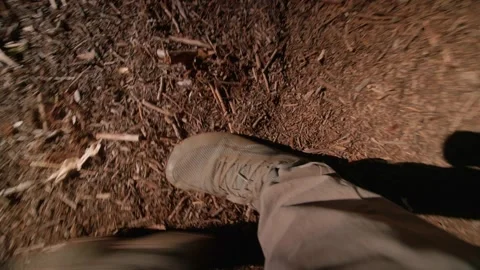 Boots On The Forest Floor Stock Footage 342735119