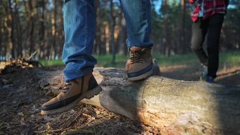 Boots on log while walking in forest. Man steps on fallen tree crossing wild Stock-Footage 315339645