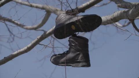 Boots in Tree Stock Footage 134302249