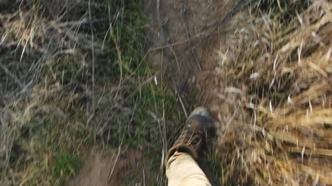 Boots walking in autumn fields Stock Footage 85402817
