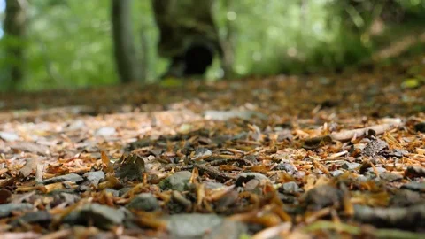 Boots Walking on Dirty Path Stock Footage 91216096