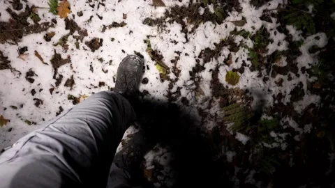 Bootsteps Through Snow and Leaves in a Dark Winter Forest at Night Video stock 292972141