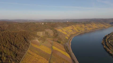 Bopparder Hamm Vineyard Rhine Bend Aerial Autumn Germany 動画素材 338409590