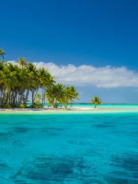 Bora Bora beach Stock Photos