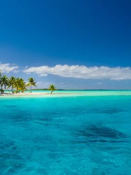 Bora Bora beach Stock Photos