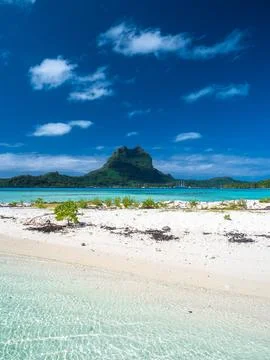 Bora Bora beach Stock Photos