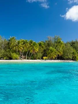 Bora Bora beach Stock Photos