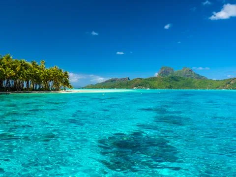 Bora Bora beach Stock Photos