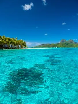 Bora Bora beach Stock Photos