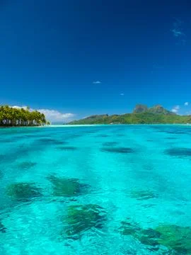 Bora Bora beach Stock Photos