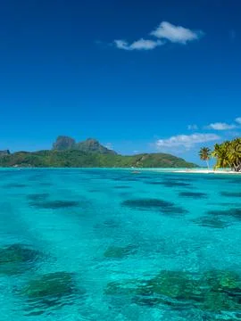 Bora Bora beach Stock Photos