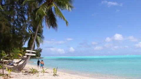 Bora Bora Beach Scene - Tropical Trees &amp; Bright Blue Seas Stock Footage 94503645
