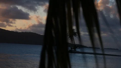 Bora Bora - Evening Palms Stock Footage 103334582