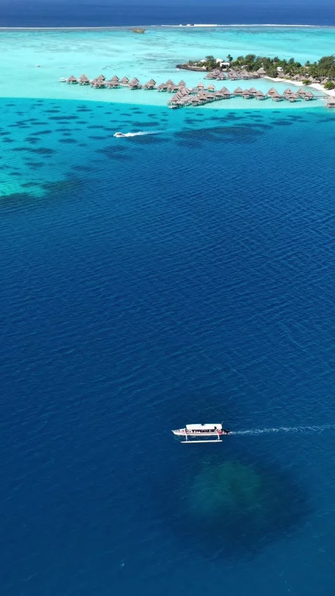Bora Bora, French Polynesia. Vertical Drone View of Boats in Lagoon, Coral Reef Video stock 347831160