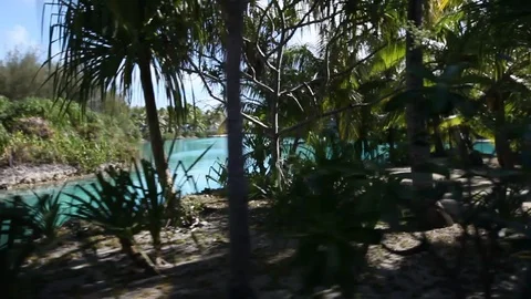 Bora Bora - Island Exploring Stock Footage 103333960