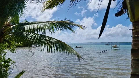 Bora Bora Island Lagoon View Behind Palm Trees, French Polynesia Vidéo 335969409