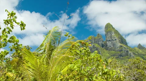 Bora Bora Island Mount Otemanu in Troppical Setting Video stock 61012114
