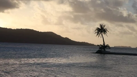 Bora Bora - Island Palm Stock Footage 103334085