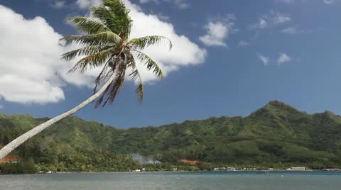 Bora Bora Lagoon Stock Footage 11223086