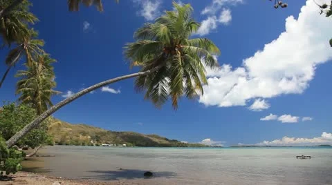 Bora Bora Lagoon Stock Footage 11237178