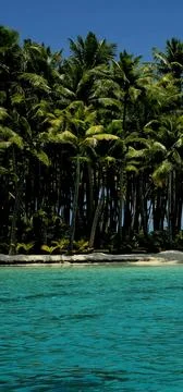 Bora Bora Lagoon Stock Photos
