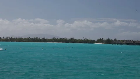 Bora Bora - Ocean Jetski Stock Footage 103333701