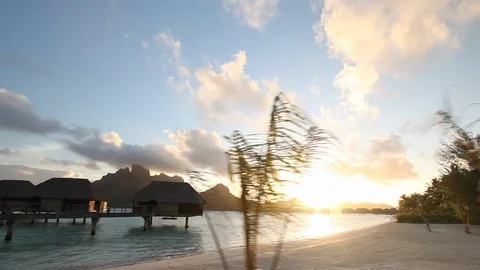 Bora Bora - Palm Tree Sunset Stock Footage 103333615