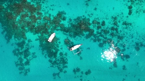 Bora Bora Reef snorkeling Stock Footage 126890212