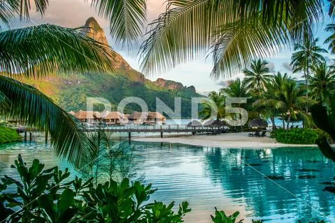 Bora Bora Resort Lagoonarium Stock Photo ~ Image #95426820