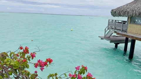 Bora Bora Resort Paradise Vacation in French Polynesia with Blue Lagoon Vidéo 328545724