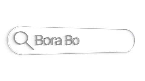 Bora bora Search Bar Close Up Single Line Typing Text Box Layout Web Database Stock Footage 151555106