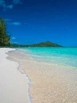 Bora Bora shore Stock Photos