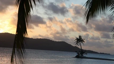 Bora Bora - Sunset Palms Stock Footage 103334628