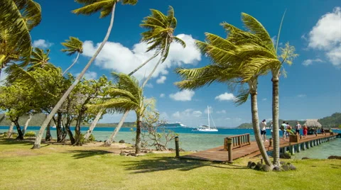 Bora Bora Tourists Exploring Picturesque Waterfront Sightseeing Stock Footage 61011865