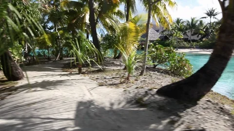 Bora Bora - Tropical Environment Vídeo Stock 103333866