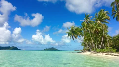 Bora Bora Turquoise Lagoon White Sand Beach and Palm Trees 4K Stock Footage 332133470