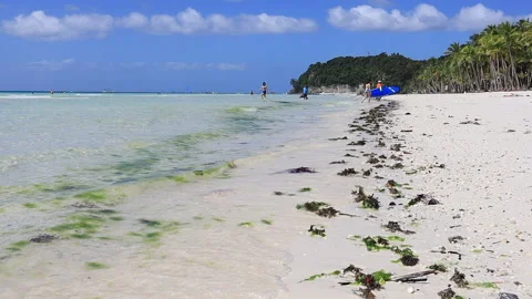 Boracay White Sand Beach with Algae Video stock 171124928