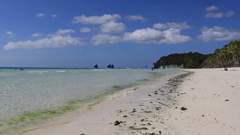 Boracay White Sand Beach with Algae Video stock 171125023