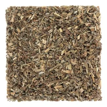 Borage Leaf Herb Stock Photos