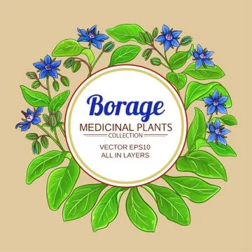 Borage vector frame Illustrazione stock
