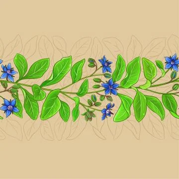 Borago vector pattern Illustrazione stock