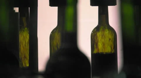 Bordeaux Saint Emilion bottling unit Stock Footage 60649929