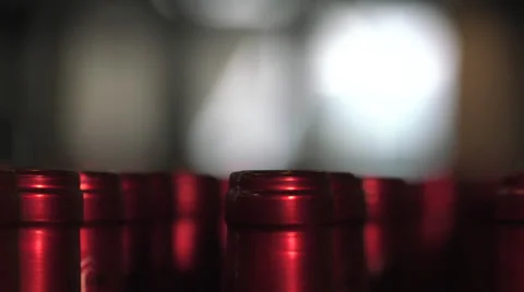 Bordeaux Saint Emilion bottling unit Stock Footage 60663704