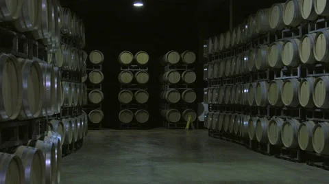 Bordeaux Saint Emilion bottling unit Stock Footage 60665142