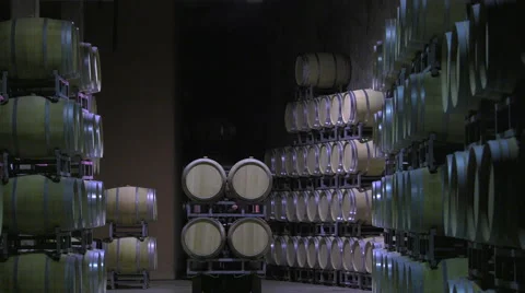 Bordeaux Saint Emilion bottling unit Stock Footage 60665316