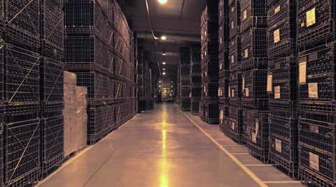 Bordeaux Saint Emilion bottling unit Stock Footage 60665714